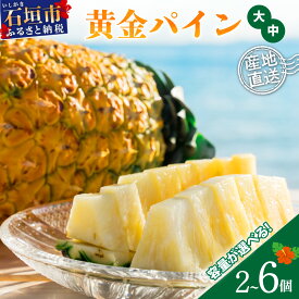 【ふるさと納税】＜先行予約＞黄金パイン大玉2〜6個入 計3.0〜9.0kg または 中玉黄金パイン2〜6玉 約2.6〜7.8kg ＜2026年7月 順次発送＞ | 産地直送 沖縄 石垣 フルーツ パイナップル パイン 黄金パイン
