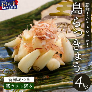 yӂ邳Ɣ[Łzs\񁄐Ί_Y 傤 4kg 2026N4\聄 |  Ί_  傤 傤 Yn 4kg  SI-103