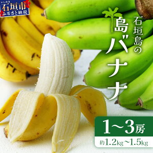 yӂ邳Ɣ[Łzs\񁄐Ί_̓oii 1`3[ 1.2`1.5kgO 2026N7菇 u₩_̃XbLnoii ₵ĂCCłI SI-33