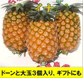 【ふるさと納税】【先行予約】黄金パイン大玉3個入 計4.5kg 《6月下旬より順次発送》｜ 産地直送 沖縄 石垣 フルーツ パイナップル パイン 黄金パイン ｜ 【SI-52】