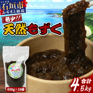 yӂ邳Ɣ[ŁzΊ_YVR10pbNEe450g×10 v4.5kg | ꌧ Ί_s VR _ C  tRC_ 퉷ۑ   SI-64
