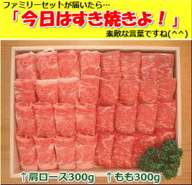 【ふるさと納税】石垣牛・すき焼きファミリーセット300g×2種・計600g もも+肩ロース 冷凍便 | 沖縄県 石垣市 牛肉 お肉 すきやき 牛ロース 送料無料 SI-085