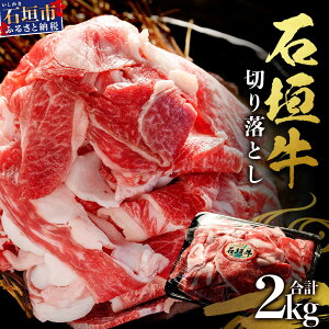 yӂ邳Ɣ[ŁzΊ_E؂藎Ƃ 2kgi1kg×2j Ⓚ b ꌧ Ί_s   ؗ Ԑ؂ Ԑ؂  SI-89