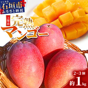 �y�ӂ邳�Ɣ[�Łz���\���t�����n�A�b�v���}���S�[ 2~3�� ��1kg ��2026�N7�����{�ȍ~������ | ���ꌧ �Ί_�s ���n �}���S�[ �A�b�v���}���S�[ �t���[�c �썑�t���[�c �Ί_���Y A���i �ʕ� ����