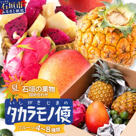 【ふるさと納税】《2026年夏に順次発送予定》石垣島の夏「果物」詰め合わせ〜夏のタカラモノ果物便〜｜沖縄 石垣 石垣島 八重山諸島 トロピカルフルーツ 果物 南国 フルーツ 詰め合わせ 産地直送 送料無料 SH-5