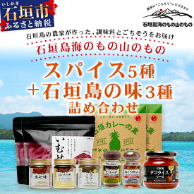 【ふるさと納税】石垣島海のもの山のものスパイス&オリジナル詰め合わせセットB 調味料 揚げせんべい 沖縄県石垣市 常温 送料無料 UY-2
