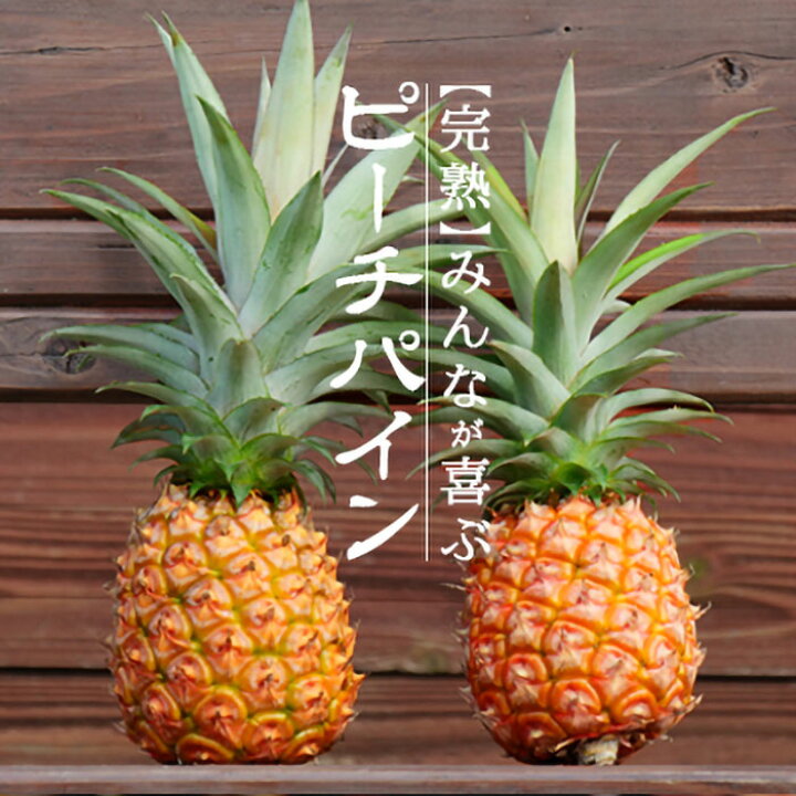 沖縄県石垣島産ピーチパイン苗50本バレル1本 - 食品｜果物