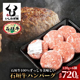 【ふるさと納税】 高級 黒毛和牛 石垣牛 ハンバーグ 120g × 6個 720g | ふるさと納税 ハンバーグ 和牛 黒毛和牛 石垣牛 無添加 国産 牛肉 ブランド牛 冷凍 個包装 ふるさと 沖縄県 沖縄 石垣 石垣島 石垣市 人気 送料無料 AB-16