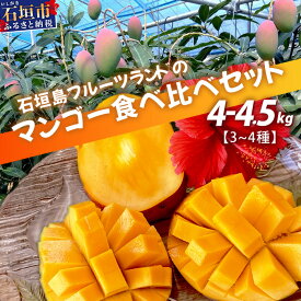 【ふるさと納税】【先行予約】産地直送！石垣島産 マンゴー 食べ比べセット4～4.5kg (3～4種) (2024年6月中旬～8月下旬発送) | ふるさと納税 マンゴー 果物 くだもの フルーツ 果実 国産 沖縄県 石垣島 ふるさと 人気 送料無料 IF-8