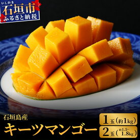 【ふるさと納税】＜先行予約＞ 石垣島産 キーツマンゴー 1玉 (約1kg) 2玉 (約1.5〜1.8kg) ＜2026年7月下旬発送＞ 高騰度 マンゴー ふるさと納税 マンゴー キーツマンゴー ご家庭用 フルーツ 果物 果実 国産 沖縄県 石垣市 石垣島 ふるさと 人気 送料無料