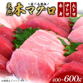 【ふるさと納税】＜選べる部位＞石垣島産 天然本マグロ（まぐろ赤身・中トロ・大トロ ）ヤエスイ マグロ船直送【2025年6月下旬より順次発送】 | マグロ 鮪 沖縄県 石垣市 送料無料 天然 まぐろ 本まぐろ 黒マグロ 刺身 お刺身 数量限定