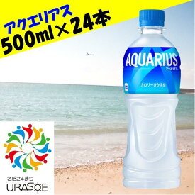 【ふるさと納税】アクエリアス　500ml×24本 | アクエリアス アクエリ スポーツ 運動 健康 ペットボトル ケース 飲み物 ドリンク 人気 沖縄 沖縄県 浦添市