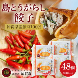 【ふるさと納税】【琉みんみん】沖縄県産島とうがらし餃子　4パック 　48個入り