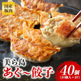 【ふるさと納税】美ら島あぐー餃子 40個～120個セット 20個入/1パック 絶品 こだわり 豚 肉 国産 ごはん おかず お弁当 冷凍 ぎょうざ ギョウザ 小分け BBQ ギョーザ 惣菜 晩酌 ギフト 手作り 生餃子 豚肉 冷凍食品 おつまみ 冷凍餃子 ブランド 総菜 中華 焼き餃子 送料無料