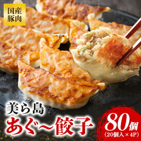 【ふるさと納税】美ら島あぐー餃子 40個～120個セット 20個入/1パック 絶品 こだわり 豚 肉 国産 ごはん おかず お弁当 冷凍 ぎょうざ ギョウザ 小分け BBQ ギョーザ 惣菜 晩酌 ギフト 手作り 生餃子 豚肉 冷凍食品 おつまみ 冷凍餃子 ブランド 総菜 中華 焼き餃子 送料無料