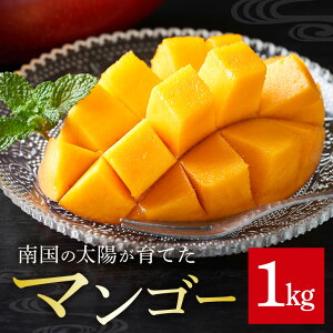 yӂ邳Ɣ[Łzy s\ 2026N  zƒp}S[ 1kg ꌧY }S[ ƒp 1L Y n}S[ ʕ 썑  t[c n  { Yi   Yn 