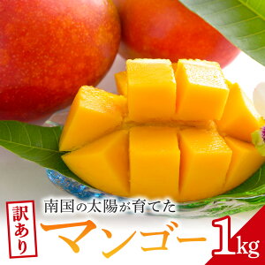 yӂ邳Ɣ[Łzy s\ 2026N  z󂠂}S[ 1kg ꌧY }S[ 󂠂 1L A Y n}S[ ʕ 썑  t[c n  { Yi   Yn