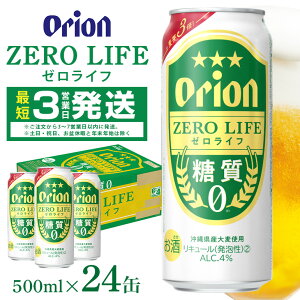 yӂ邳Ɣ[ŁzII[Ct(500ml×24)1P[X IIr[  L[ A r[ BEER orion [ [Ct   ʃr[ nr[ II Ntgr[ 