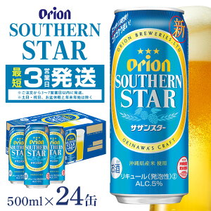yӂ邳Ɣ[ŁzIITUX^[(500ml×24)1P[X IIr[  L[ A r[ BEER orion TUX^[   ʃr[ nr[ II Ntgr[ r