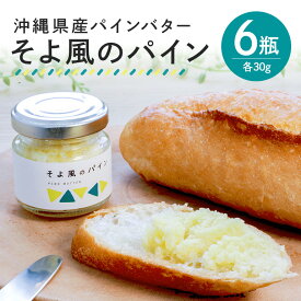 【ふるさと納税】沖縄県産 パインバター 「そよ風のパイン」6瓶入り フルーツバター パイナップル 沖縄 果物 バター ジャム 朝食 フルーツ パン デザート スイーツ 酸味 甘み ギフト プレゼント 沖縄県 糸満市 送料無料
