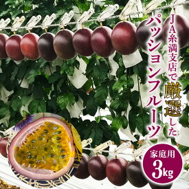 【ふるさと納税】【 先行予約 2026年 発送 】 JA糸満支店で厳選した「 パッションフルーツ 」家庭用 約 3kg 果物 フルーツ くだもの 3キロ 沖縄 果実 南国フルーツ 沖縄県産 美味しい 甘い あまい 甘み 酸味 爽やか 産地直送 農家直送 産直 沖縄県 糸満市 送料無料