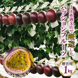 【ふるさと納税】【 先行予約 2026年 発送 】 JA糸満支店で厳選した「 パッションフルーツ 」贈答用 約 1kg 果物 フルーツ くだもの 1キロ 沖縄 果実 南国フルーツ 沖縄県産 美味しい 甘い あまい 酸味 産地直送 農家直送 産直 ギフト 贈答品 贈り物 沖縄県 糸満市 送料無料