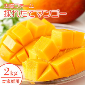 【ふるさと納税】【 先行予約 2026年 発送 】 農家直送 ! 太陽ファームのマンゴー 2kg ( ご家庭用 ) マンゴー 沖縄県産 マンゴー アップルマンゴー アーウィンマンゴー 完熟マンゴー 果物 南国 くだもの フルーツ 完熟 夏 旬 沖縄 お取り寄せ 産地直送 糸満市 送料無料