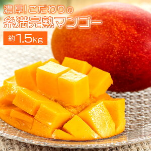 yӂ邳Ɣ[Łzy s\ 2026N  z Z ! ̎ n}S[  1.5kg ꌧY }S[ Abv}S[ A[EB}S[ Y n}S[ ʕ 썑  t