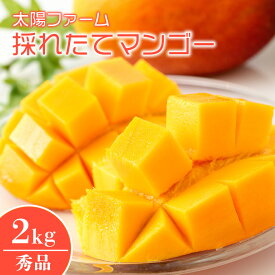 【ふるさと納税】【 先行予約 2026年 発送 】 太陽ファームの採れたて マンゴー 2kg ( 秀品 ) 沖縄県産 アップルマンゴー アーウィンマンゴー 2キロ 国産 完熟マンゴー 果物 くだもの フルーツ 完熟 夏 旬 沖縄 お取り寄せ 産地直送 農家直送 甘い 濃厚 糸満市 送料無料
