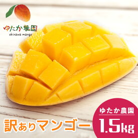 【ふるさと納税】【先行予約 2026年 発送】ゆたか農園 産地直送 沖縄県産 訳あり マンゴー 1.5kg 完熟 訳アリ アップルマンゴー アーウィンマンゴー 1.5キロ 訳ありマンゴー 規格外 B品 不揃い 果物 フルーツ 夏 旬 沖縄 沖縄産 完熟マンゴー 自分用 糸満市 送料無料