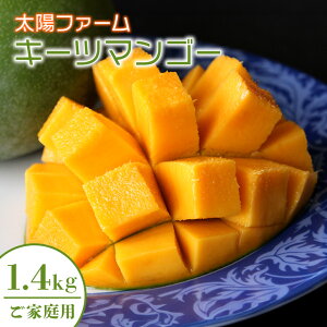 yӂ邳Ɣ[Łzy s\ 2026N  z _ƒ ! zt@[ L[c}S[ 1.4kg (ƒp) ꌧY }S[ Y ʕ 썑  t[c  { Yi   