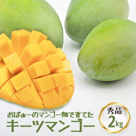 【ふるさと納税】【 先行予約 2026年 発送 】 おばぁーのマンゴー畑で育てた キーツマンゴー (秀品) 沖縄県産 マンゴー 2kg マンゴー 国産 果物 南国 くだもの フルーツ 夏 旬 特産品 沖縄 お取り寄せ 名産品 お土産 甘い 濃厚 糸満市 贈答用 幻のマンゴー 送料無料