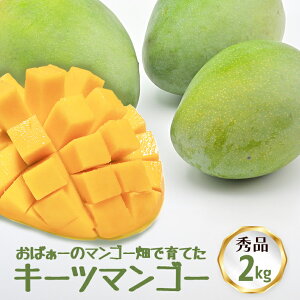 yӂ邳Ɣ[Łzy s\ 2026N  z ΂[̃}S[ňĂ L[c}S[ (Gi) ꌧY }S[ 2kg }S[ Y ʕ 썑  t[c  { Yi  