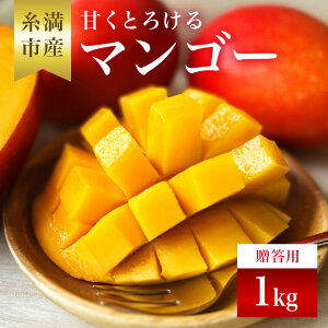 yӂ邳Ɣ[Łzy s\ 2026N  z ˂悵}S[̊ÂƂ낯 }S[ 1kg ( p ) ꌧY Abv}S[ A[EB}S[ 1L Y ʕ  t[c 
