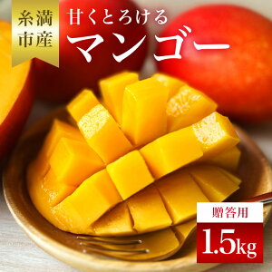 yӂ邳Ɣ[Łzy s\ 2026N  z ˂悵}S[̊ÂƂ낯 }S[ 1.5kg ( p ) ꌧY Abv}S[ A[EB}S[ Y ʕ  t[c n 