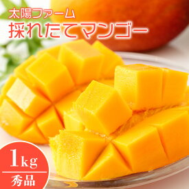【ふるさと納税】【 先行予約 2026年 発送 】太陽ファームの採れたて マンゴー 1kg ( 秀品 ) 沖縄県産 マンゴー アップルマンゴー アーウィンマンゴー 1キロ 国産 完熟マンゴー 果物 くだもの フルーツ 完熟 夏 沖縄 お取り寄せ ギフト 産地直送 農家直送 糸満市 送料無料