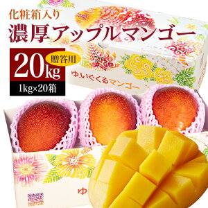yӂ邳Ɣ[Łzy s\ 2026N z ꌧ Y ́u Z Abv}S[ v20kg ( 1kg ×20 ) }S[ e p ϔ n}S[ Mtg i  蕨 