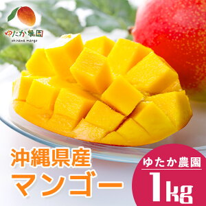 �y�ӂ邳�Ɣ[�Łz�y ��s�\�� 2026�N �����z ���ꌧ�Y �}���S�[ 1kg �䂽���_�� �A�b�v���}���S�[ �A�[�E�B���}���S�[ 1�L�� ���Y ���n�}���S�[ �ʕ� �������� �t���[�c ���n �� �{ ���Y�i ����