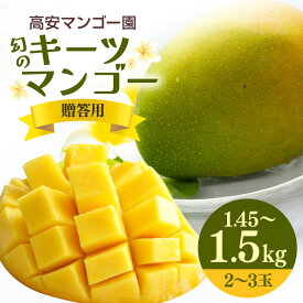 【ふるさと納税】【先行予約 2026年発送】高安マンゴー園 キーツマンゴー 1.45-1.5kg(贈答用)