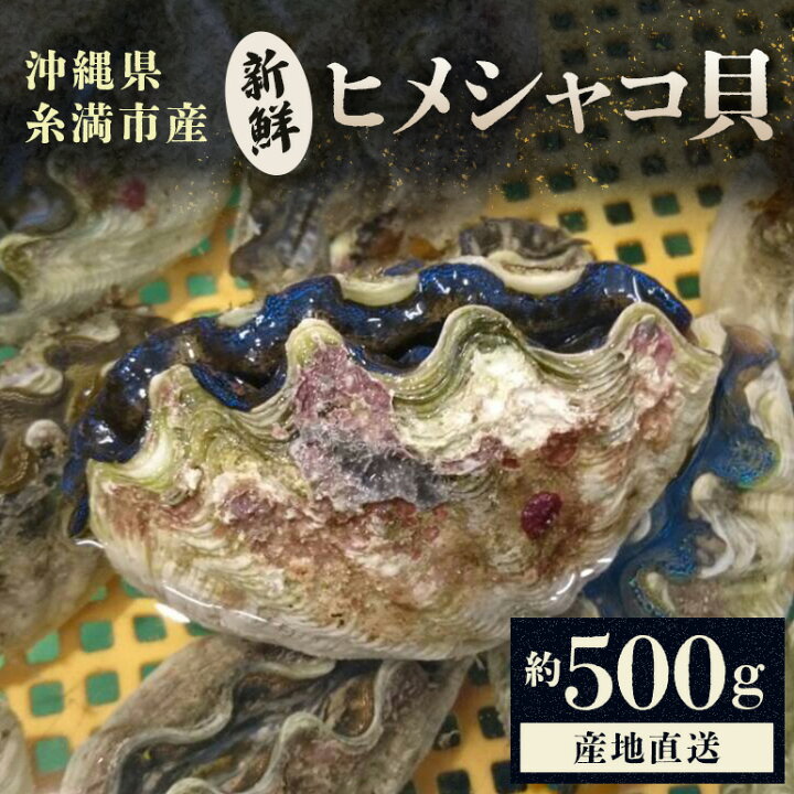 楽天市場】【ふるさと納税】【産地直送】「海人のまち」で水揚げ！新鮮 