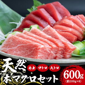 【ふるさと納税】天然本マグロセット 600g (約100g×6p) 赤身400g 中トロ100g 大トロ100g まぐろ 旬 鮪 鮮度抜群 魚種 柵 赤身 中トロ 大トロ 高たんぱく 低カロリー 真空 冷凍 刺身 家庭用 小分け 沖縄 糸満市 33000円