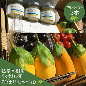 【ふるさと納税】【先行予約 2026年 発送】熱帯果樹園小池さん家 お任せ セット (竹) フルーツバター 大瓶 3個入り 沖縄 旬 フルーツ 薬味 ハーブ 野菜 ナッツ お任せセット 果物 バター 詰