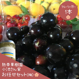 【ふるさと納税】【先行予約 2026年 発送】熱帯果樹園小池さん家 お任せ セット （梅） フルーツバター 大瓶 1個入り 沖縄 旬 フルーツ 薬味 ハーブ 野菜 ナッツ お任せセット 果物 バター 詰め合わせ パッションフルーツ マンゴー ライチ 旬の果物 おまかせ 送料無料