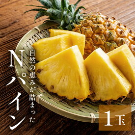 【ふるさと納税】【 先行予約 2026年 発送 】Nパイン 1玉 自然の恵み詰まったパイナップル パイナップル パイン 沖縄県産 訳あり 訳アリ 国産 完熟パイン 果物 南国 くだもの フルーツ 完熟 夏 旬 特産品 沖縄 取り寄せ 産地直送 農家直送 甘い 濃厚 糸満市