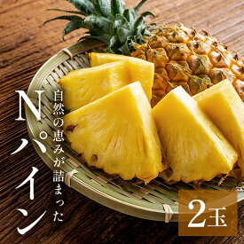【ふるさと納税】【 先行予約 2026年 発送 】Nパイン 2玉 自然の恵み詰まったパイナップル パイナップル パイン 沖縄県産 訳あり 訳アリ 国産 完熟パイン 果物 南国 くだもの フルーツ 完熟 夏 旬 特産品 沖縄 取り寄せ 産地直送 農家直送 甘い 濃厚 糸満市