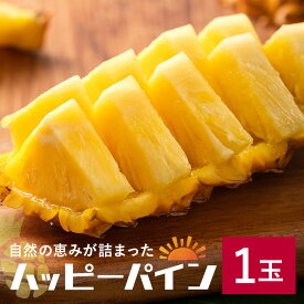 【ふるさと納税】【2026年発送】ハッピーパイン1玉 沖縄県の南部では育たないと言われた幻のパイナップル パイナップル パイン フルーツ 果物 甘い 沖縄