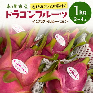 【ふるさと納税】【2026年発送】糸満市産 「ドラゴンフルーツ インパクトルビー 赤」1kg (3〜4玉) 国産 産地直送 果実 果物 くだもの フルーツ 贈り物 贈答品 お取り寄せ トロピカルフルーツ
