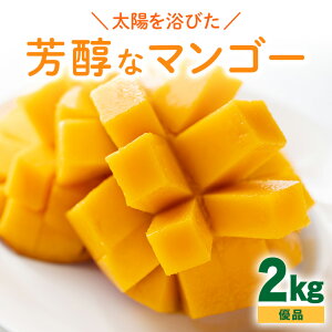 【ふるさと納税】【 先行予約 2026年 発送】 沖縄の太陽を浴びた芳醇なマンゴー 2kg ( 優品 ) 沖縄県産 マンゴー アップルマンゴー アーウィンマンゴー 2キロ 国産 完熟マンゴー 果物 南国 くだ