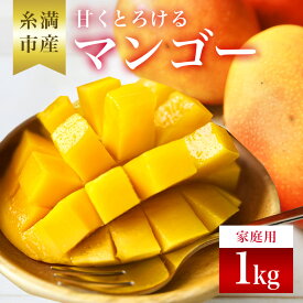 【ふるさと納税】【 先行予約 2026年 発送 】 家庭用 沖縄県 糸満産 かねよし マンゴー アーウィンマンゴー 1kg 訳アリ 訳あり品 沖縄県産 アップルマンゴー 国産 完熟マンゴー 果物 くだもの フルーツ 完熟 夏 特産品 沖縄 産地直送 農家直送 甘い 濃厚 糸満市 送料無料