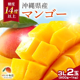 【ふるさと納税】【 先行予約 2026年 発送】ゆたか農園　糖度14度以上！沖縄県産マンゴー 3L 2玉 アップルマンゴー アーウィンマンゴー 国産 完熟マンゴー 果物 くだもの フルーツ 完熟 夏 旬 特産品 沖縄 お取り寄せ 産地直送 農家直送 甘い 濃厚 糸満市